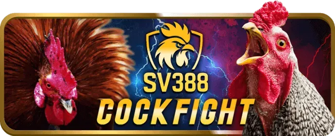Hoàn trả hàng ngày Yo88